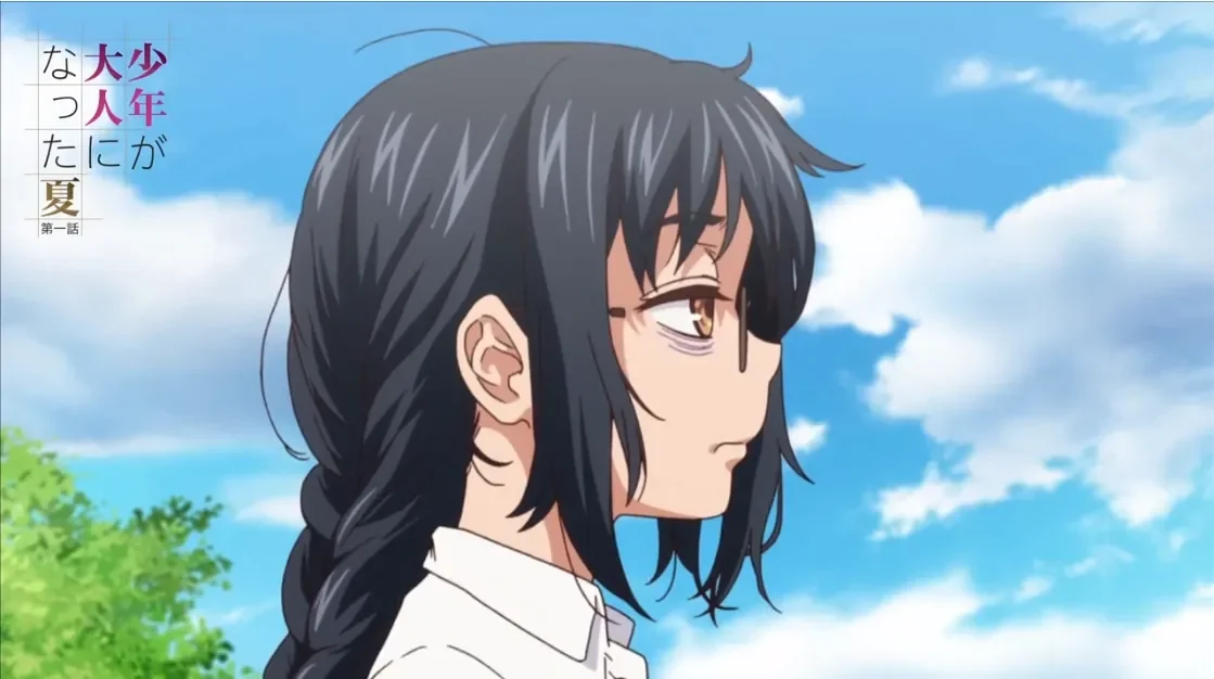 少年成为大人的夏天(少年が大人になった夏)