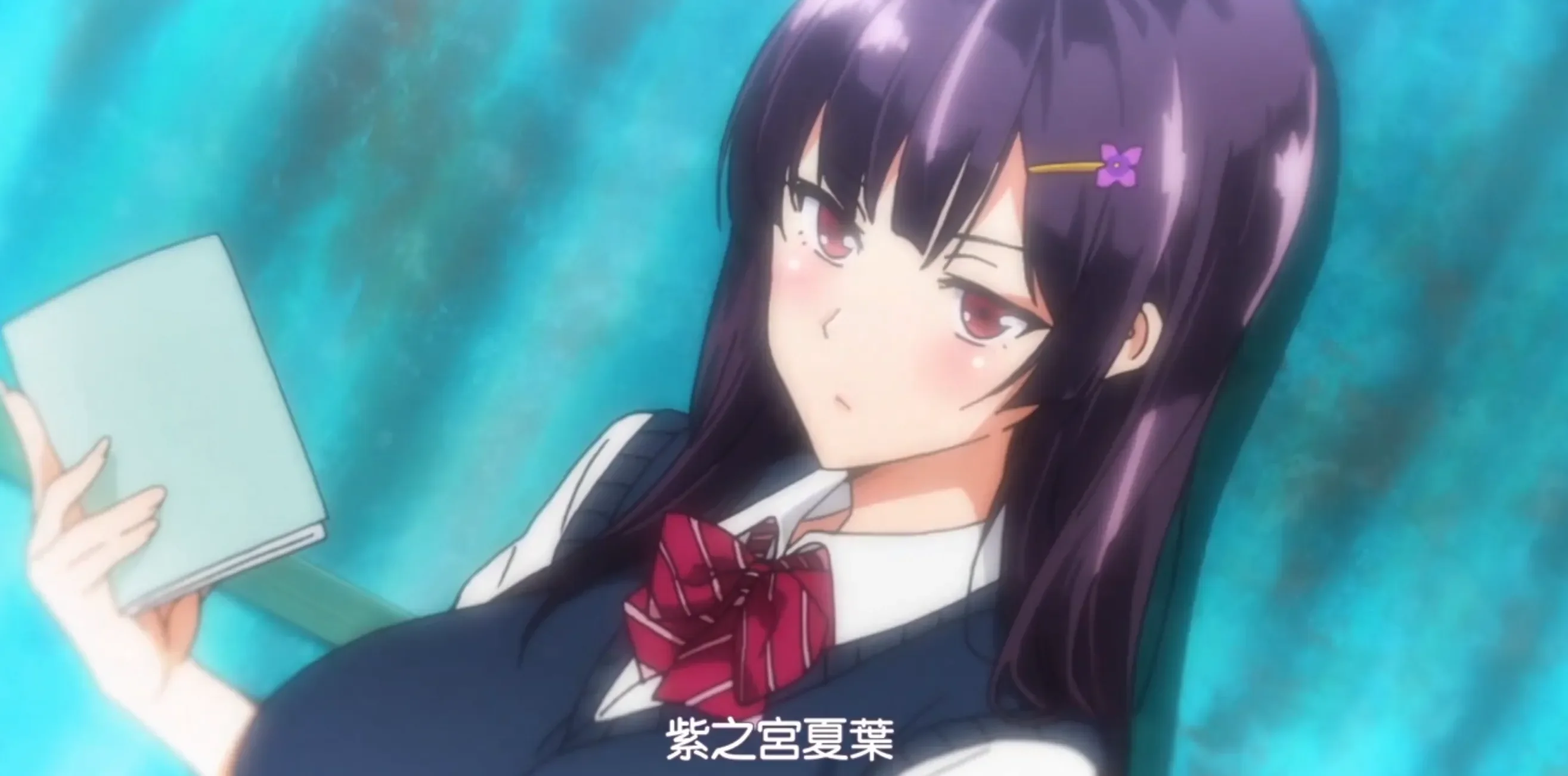 紫阳花凋零之时(OVA 紫陽花の散ル頃に)