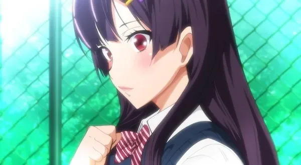 紫阳花凋零之时(OVA 紫陽花の散ル頃に)